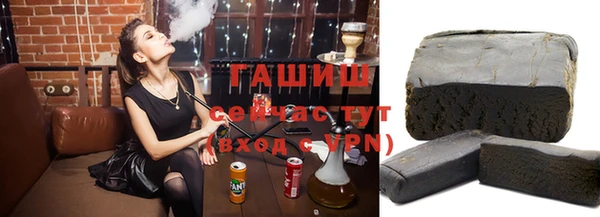 индика Надым