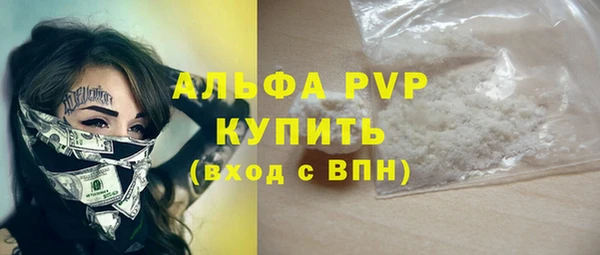индика Надым
