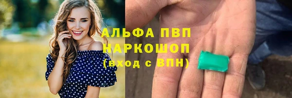 индика Надым