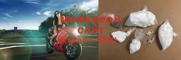 индика Надым