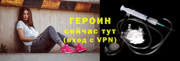 индика Надым
