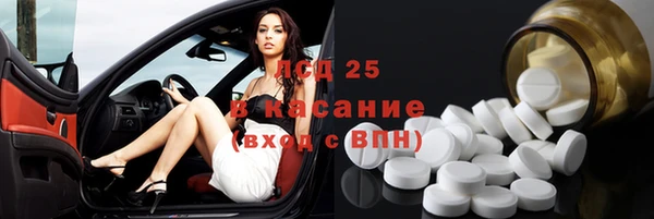 индика Надым