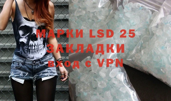 индика Надым