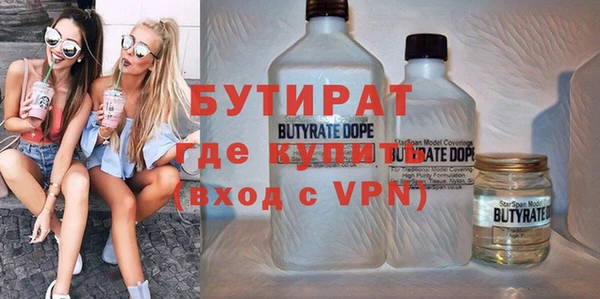 индика Надым