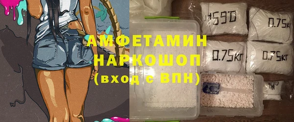 индика Надым