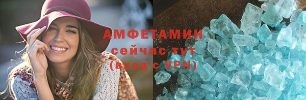 индика Надым