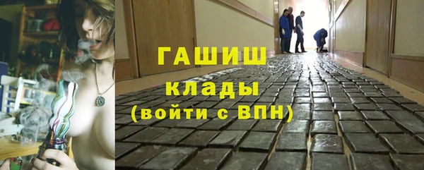 индика Надым