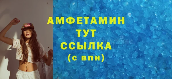 индика Надым